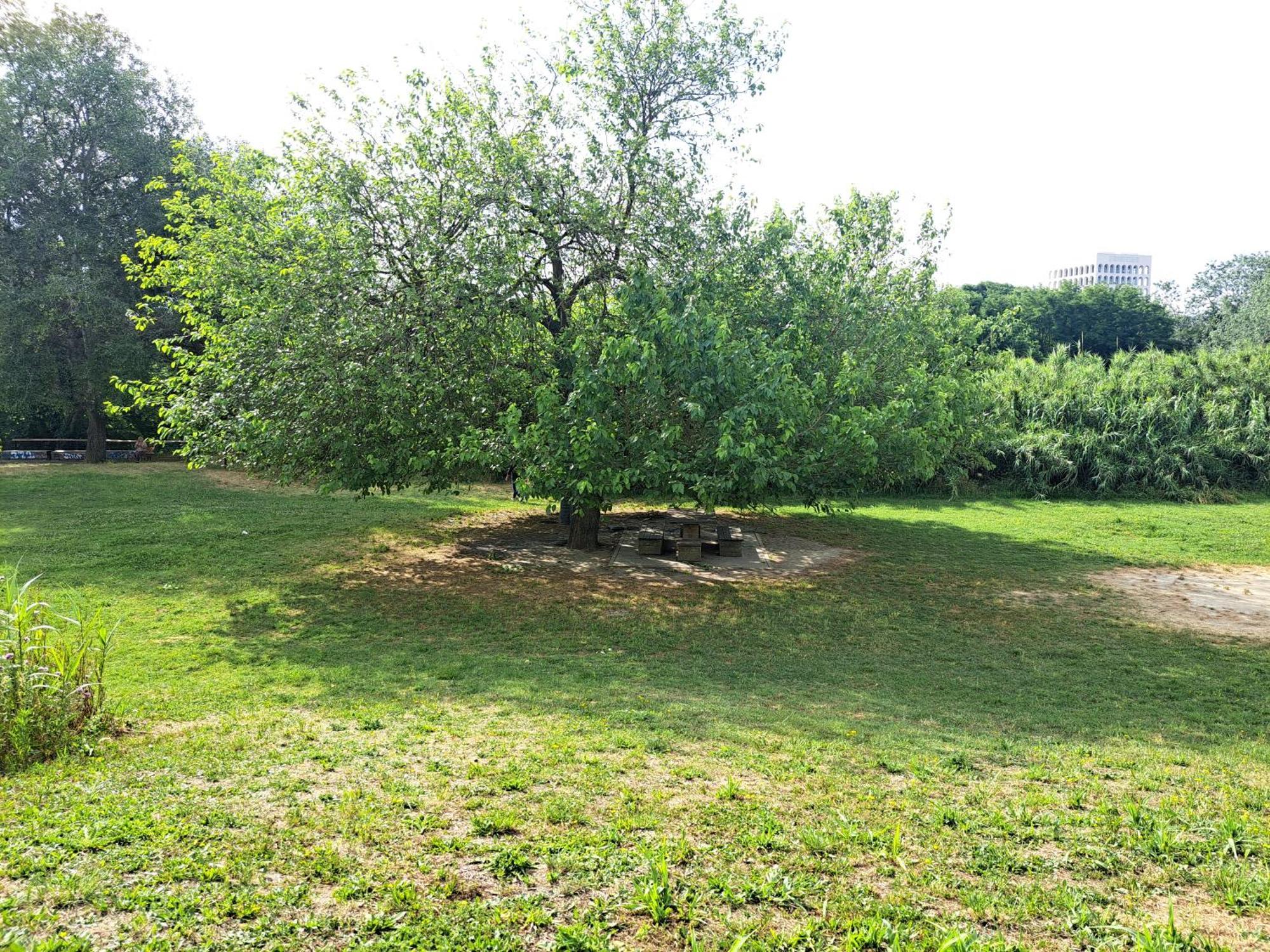 Lacasadirosa روما المظهر الخارجي الصورة